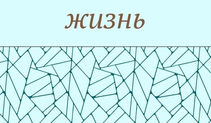 Маленькая жизнь